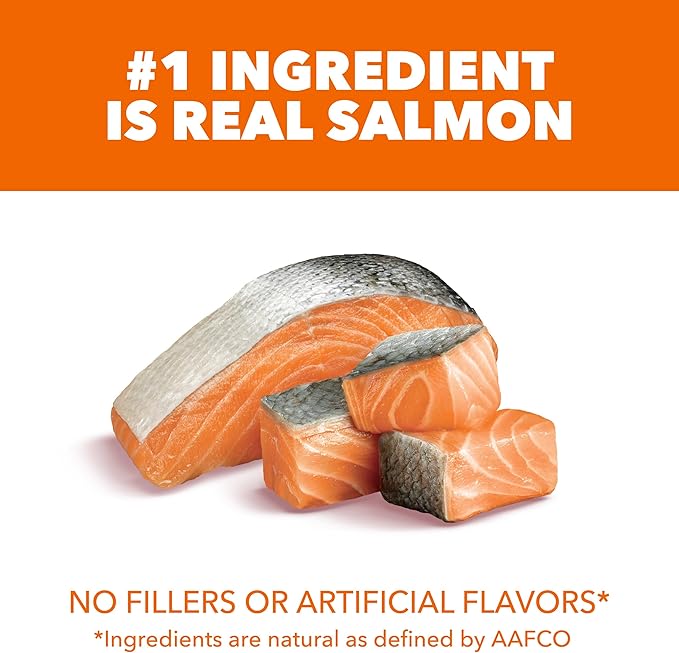 IAMS Proactive Health Adult Healthy Dry Cat Food with Real Salmon, 16 lb. Bag