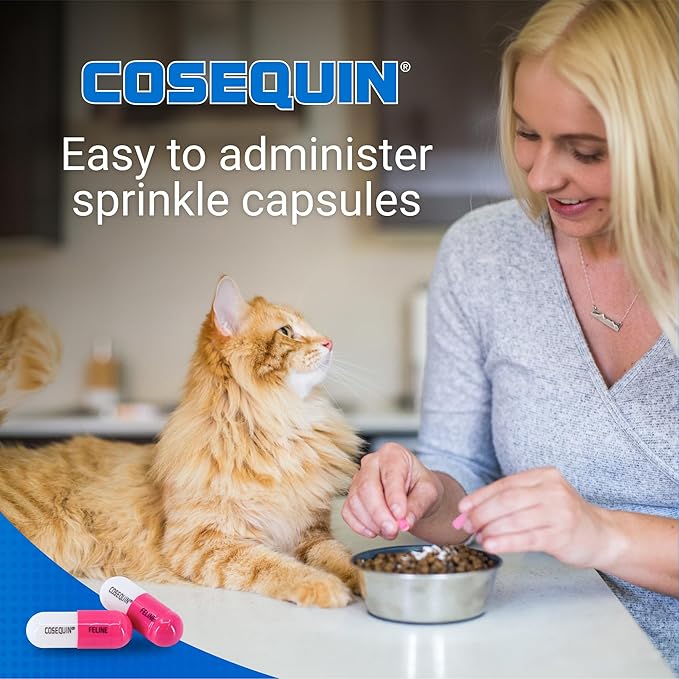 Nutramax Cosequin for Cats Joint Health Supplement, Contains Glucosamine for Cats, Plus Chondroitin, and Omega-3s, Supports Joint and Skin and Coat Health, Sprinkle Capsules, 80 Count