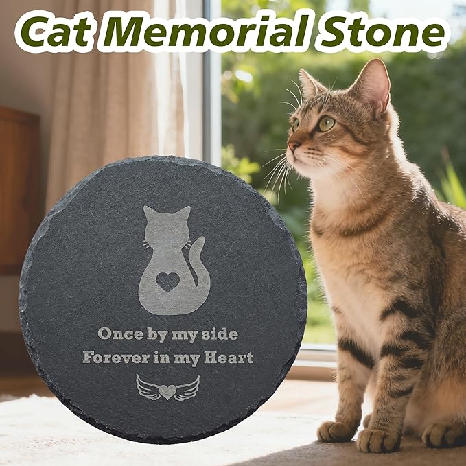 Cat Memorial Stone Round Shape 6” – Durable Weatherproof Grave Marker for Cat, “Once by My Side Forever in My Heart” Engraved Garden Stone, Pet Loss Gift Remembrance Plaque