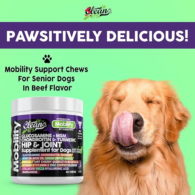 Clean Pets Hip and Joint Supplement Dogs with Glucosamine for Dogs + Chondroitin, Turmeric, Hyaluronic Acid, MSM, Salmon Oil, Collagen, Vitamin C, Omega 3 Senior Dog Supplements Beef Flavor - 1Pack