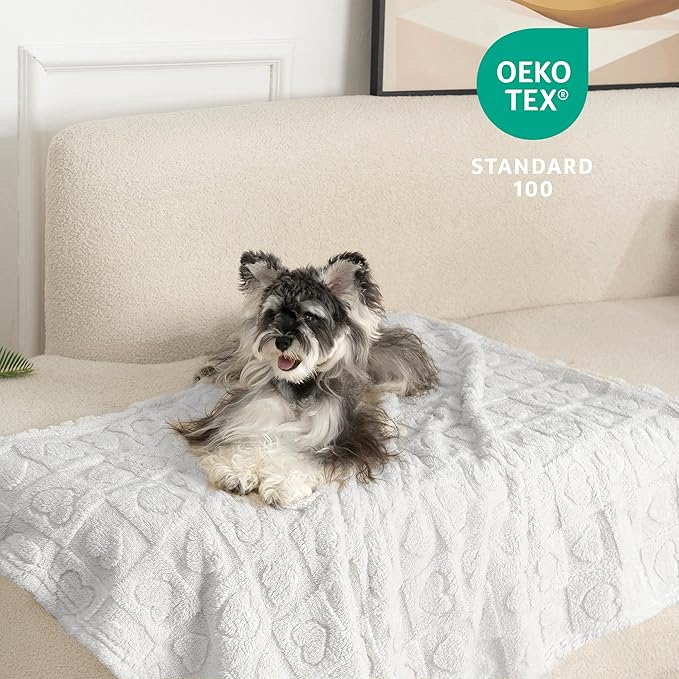 gogobunny Calming Plush Dog Cat Blanket 300GSM Coral Fleece, Ultra-Soft Machine Washable Pet Bedding for Small Medium Dogs Cats Puppies Kittens (Silver, 40x50)