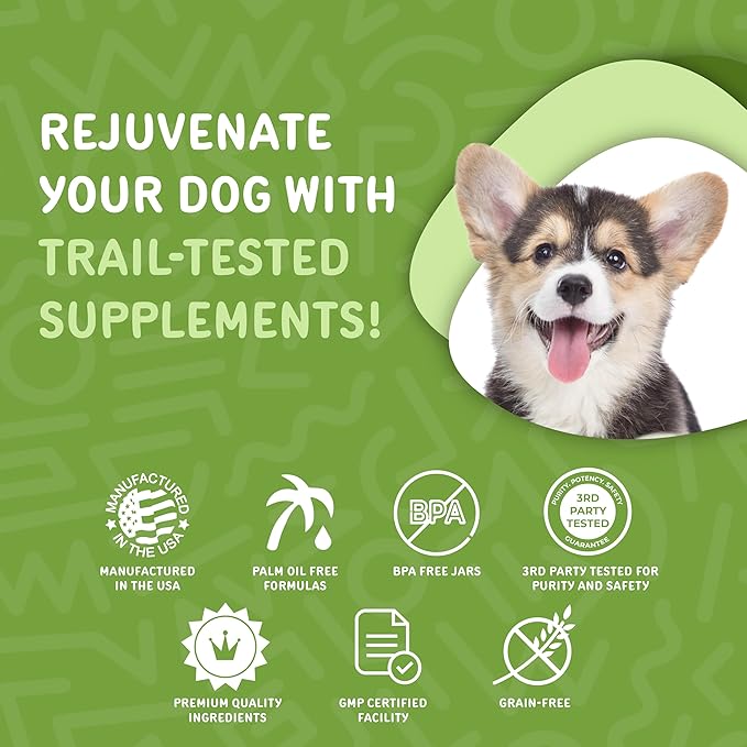 waggedy Daily Essentials Puppy – Full-Spectrum Functional Treats, Small or Large Breed Puppy Supplements – Dog Supplements & Vitamins – Dog Essentials for Puppies (60 Chews)
