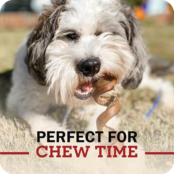 Redbarn Pet Products All Natural 5"-8" Bully Sticks for Small & Large Dogs - Healthy Long Lasting Chews Variety Party Pack - 100% Beef Single Ingredient Low Odor Rawhide Free Dental Treats - 8 oz Bag