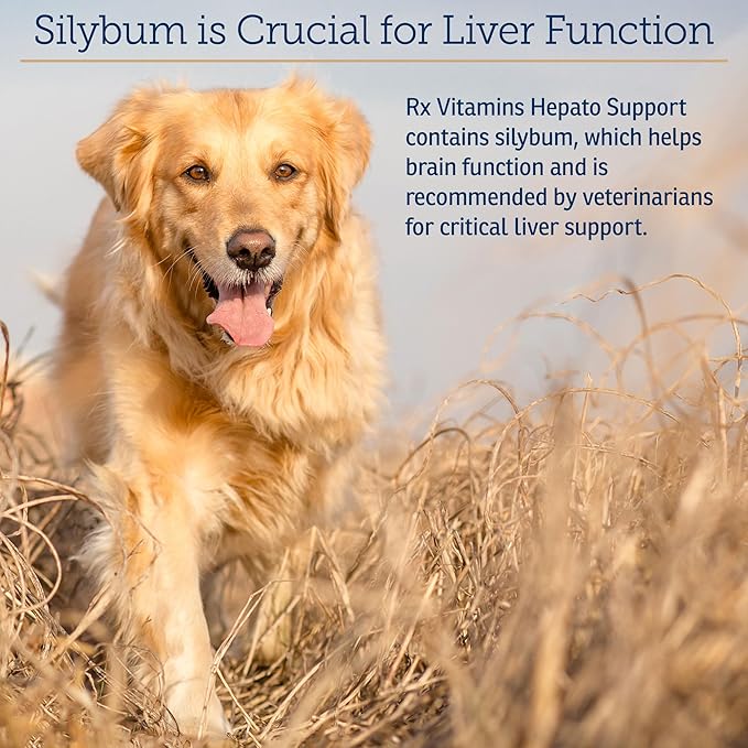 Rx Vitamins Liquid Hepato - Liquid Liver Support Supplement with Milk Thistle Extract - Hepatic Dog Supplement Enriched with Vitamin B Complex - Chicken Flavor (4oz)