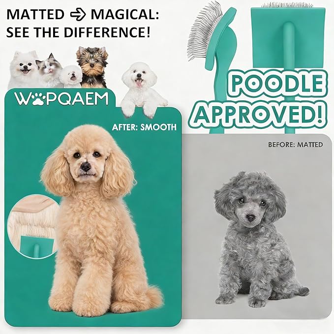 Slicker Brush for Dogs, Large Dog Brush to Long Haired Dogs for Poodles Doodles Goldendoodles Bernedoodles, Long Pin Grooming Kits to Dematting & Reducing Tangles and Fluff, Green