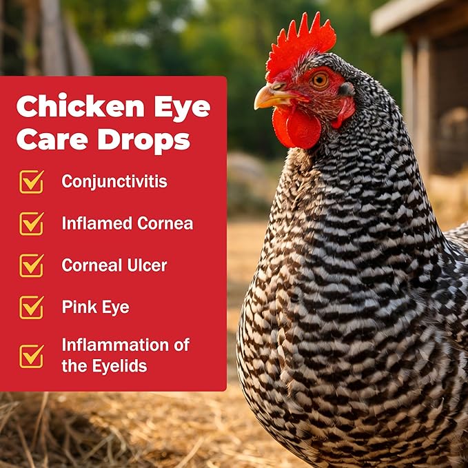Chickens Eye Care Drops for Chickens, Ducks & Birds – Improve The Eye Health – Improve Egg Quality – Supports Clear Vision & Healthy Eyes – 15 mL (0.5 fl oz)