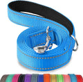 Joytale Dog Leash, 4 FT Double-Sided Reflective, Padded Handle Nylon Heavy Duty Leashes for Small Dogs Walking, SkyBlue