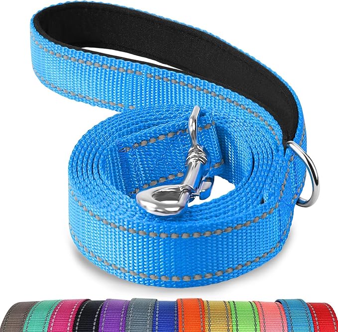 Joytale Dog Leash, 6 FT Double-Sided Reflective, Padded Handle Nylon Heavy Duty Leashes for Small Dogs Walking, Teal