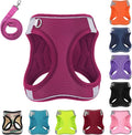Dog Harness with Leash Set, No-Pull Step-in Reflective Pet Harness with 1 Leash Clips, Adjustable Soft Padded Easy Walk Dog Vest for Small Medium Large Dogs, Cats(Rose Red, XSmall)