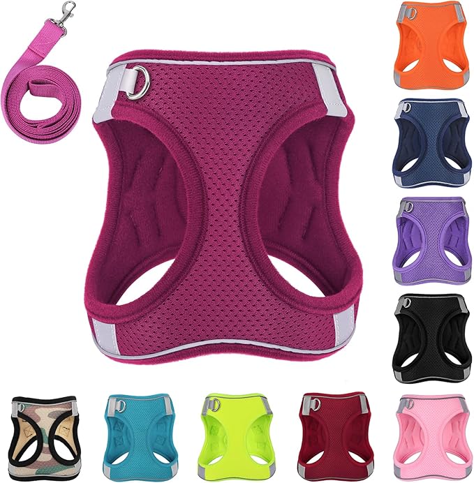 Dog Harness with Leash Set, No-Pull Step-in Reflective Pet Harness with 1 Leash Clips, Adjustable Soft Padded Easy Walk Dog Vest for Small Medium Large Dogs, Cats(Rose Red, XSmall)