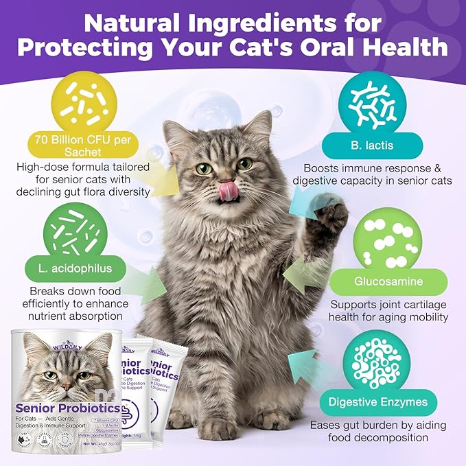 Cat Probiotics Gut – Constipation Relief – Supports Immunity, Regularity, & Healthy Digestion, 30-Day Supply (Senior Formula)