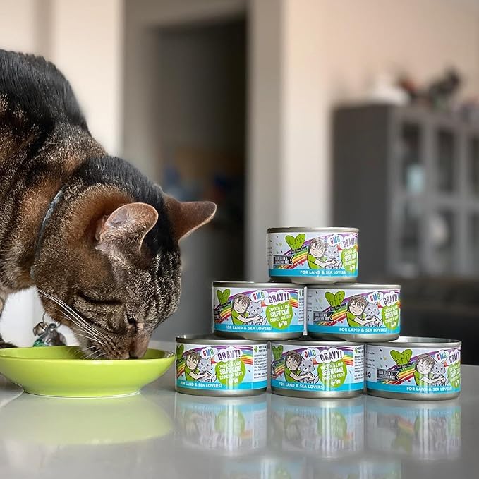 Weruva B.F.F. OMG - Best Feline Friend Oh My Gravy!, Love Munchkin! with Chicken & Pumpkin in Gravy Cat Food, 5.5oz Can,(Pack of 16)