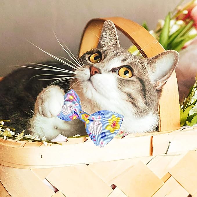 Easter Cat Collar with Bow Tie, Holiday 2 Pack Kitty Kitten Cute Bunny Carrot Collar for Girls and Boys (Bunny Peeps)