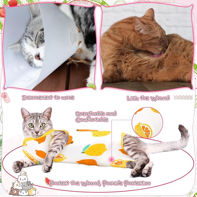 Nuanchu 3 Pieces Cat Recovery Suit Kitten Recovery Suit E-Collar Alternative for Cats and Dogs Abdominal Skin Anti Licking Pajama Clothes Sets(Medium,Fruit Style,Colorful)