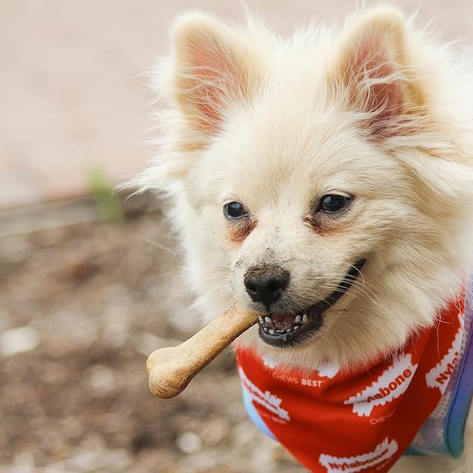 Nylabone Healthy Edibles Natural Dog Chews, Long Lasting Bones for Dogs, Roast Beef Flavor Dog Treats, X-Small (8 Count)