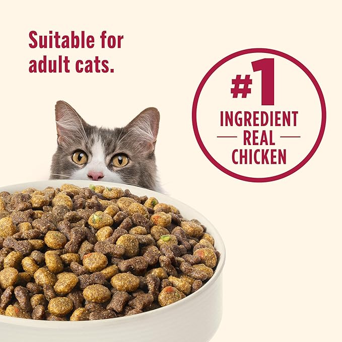Nutrish Everyday Digestion Dry Cat Food, Chicken Brown Rice and Salmon Recipe with Peas and Carrots, 3 lb. Bag, (Pack of 4) (Rachael Ray)