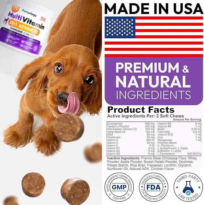 (2 Pack) Dog Multivitamin Chewable - 340 Chews - Dog Vitamins and Supplements with Glucosamine - Hip & Joint, Pet Immune Support, Gut & Heart Health - Senior & Puppy Multivitamin Pet Supplement