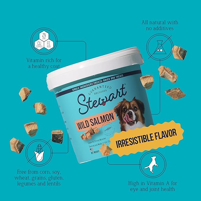 Stewart 100% Wild Salmon Dog Treats, 2.75 oz Tub, ~55 Pieces, Freeze Dried Raw, Single Ingredient, 65% Protein Training Treats or Meal Topper, Grain Free, Gluten Free