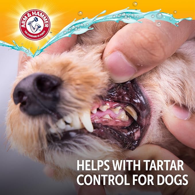 Arm & Hammer Complete Care Dog Dental Spray, Mint Flavor, Easy Brushless Dog Breath Freshener, Baking Soda Enhanced Formula for Fresh Dog Breath, 6oz - 2 Pack