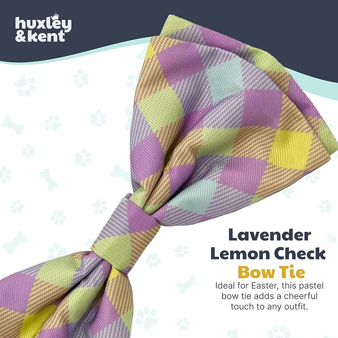 Huxley & Kent Pet Bow Tie for Dogs & Cats - Spring Theme Adjustable Hook & Loop Collar Accessory - Cute & Comfortable for Holidays & Celebrations - Lavender Lemon, Large