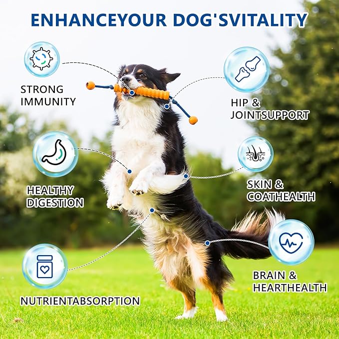 40-in-1 Dog Vitamins Chewable Multivitamin for Dogs Supplements with Glucosamine MSM - Turkey Tail Mushroom, Digestive Enzymes Gut Probiotics, Hip & Joint, Skin & Coat Immune Support, 400ct