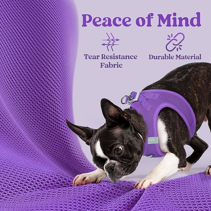 rabbitgoo Small Dog Harness, Step-in Soft Mesh Puppy Vest with Safety Buckle, Breathable Reflective Pet Harness for Small Sized Dogs, Purple S