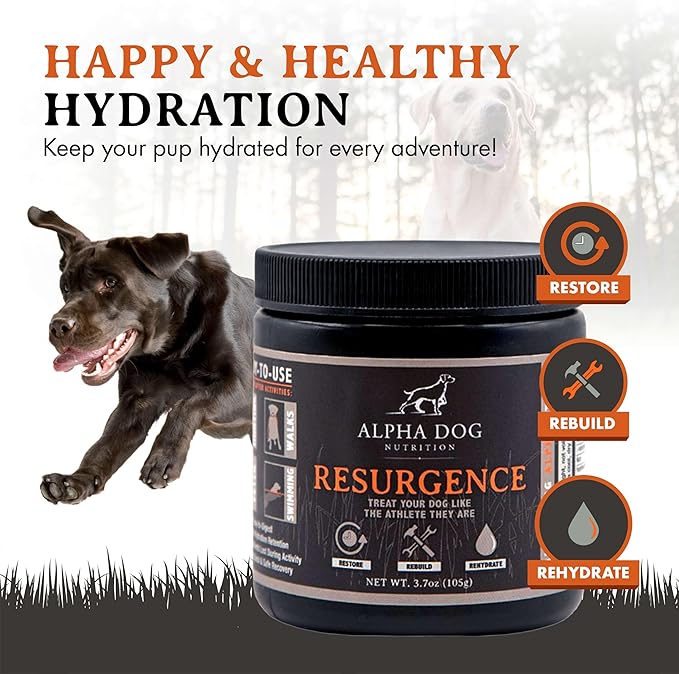 Alpha Dog Nutrition Electrolytes for Dogs - PhD Formulated Hydration Supplement with Beef Flavor for Active Canines - Versatile Powder for Dehydration Recovery and Stamina