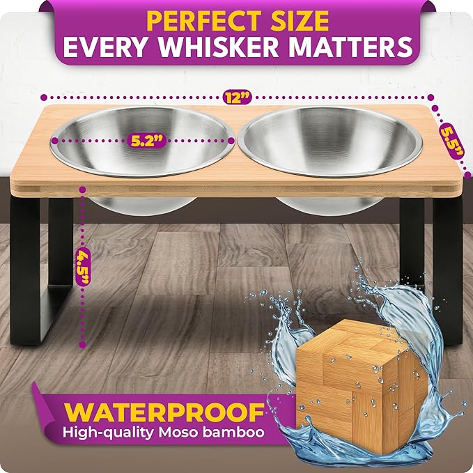Raised cat Bowls for Indoor Cats by WinTruffles, Elevated cat Bowls with Cat Food Mat, Tilted and Elevated Anti Vomiting Cat Dishes for Food and Water, Set of 2 Stainless Steel Bowl with Silicone Mat
