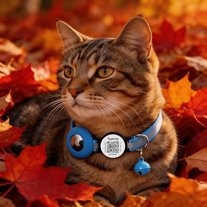 3 Pack Airtag Cat Collar Breakaway with Bell,Reflective Kitten Collar with Apple Airtag Cat Collar Holder,Adjustable,Safety Buckle for Girl Boy Cats,Pet Supplies,Gifts (Black & Blue & Pink)