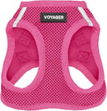 Best Pet Supplies Voyager Step-in Air Harness - All Weather Mesh, Reflective, No Pull Harness for Dogs, Cats - Secure with Hook & Loop Fastener, Buckle, Double D-Rings - Fuchsia, XXS