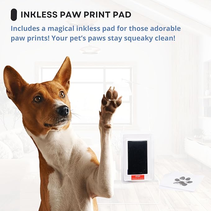 Dog Paw Print Kit for Dogs, Dog Picture Frame with Shatterproof Plexiglass, 4 Customizable Displays, 9”x9”, Pet Memorial Gift for Dogs, Loss of Pet Sympathy Gift, Pet Paw Print Impression Kit (Black)