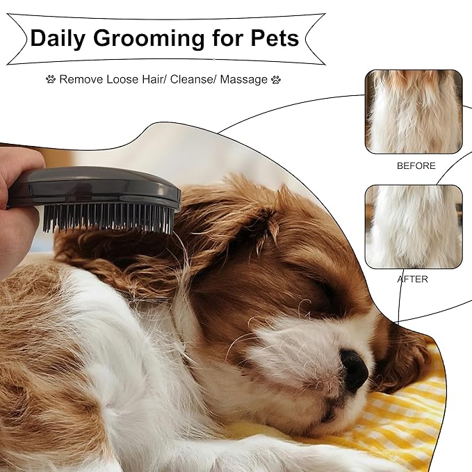 Gentle Grooming Puppy Brush with Gift Box ， Fit for Small Dog ， Yorkie, Shih Tzu, Maltipoo, Maltese and Pomeranian ，Toy Poodle Accessories, Soft Bristle (Black)