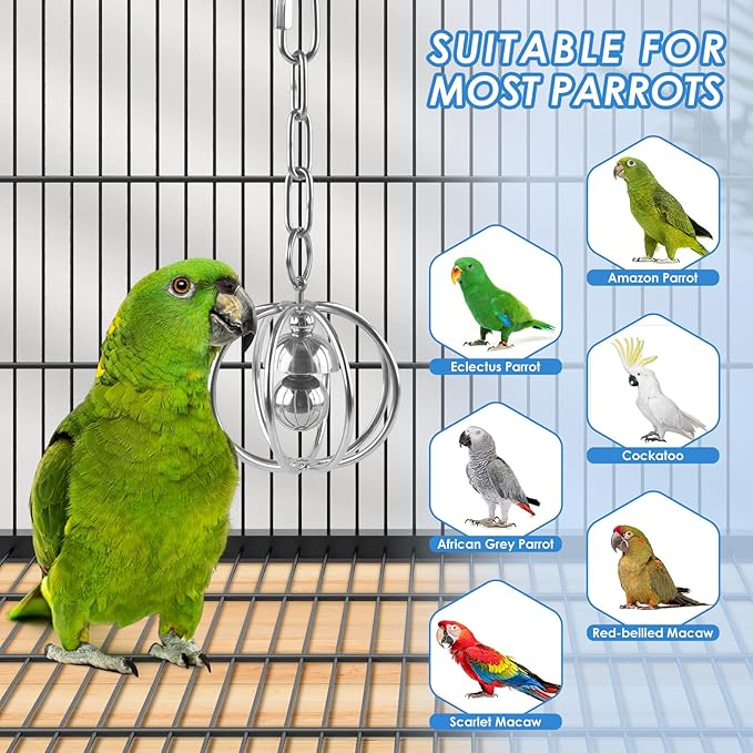 Heavy-Duty Stainless Steel Bird Toy for Parrots, Durable Hollow Foraging Ball with Detachable Chain, Chew-Proof Parakeet Training Toys for Macaws, Amazons, Eclectus, African Greys, Cockatoos