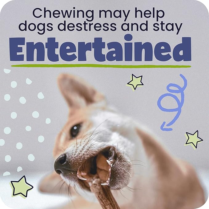 Pawstruck Natural 5" Braided Bully Sticks for Dogs - Long Lasting Rawhide Free Low Odor Single Ingredient Chew Treat for Aggressive Chewers - 1lb Bag
