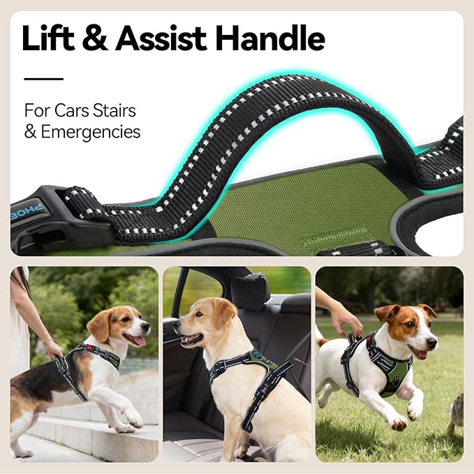 PHOEPET No Pull Dog Harness with Handle Front & Back Clip, Easy on Lockable Snap Buckle at Neck, Adjustable Reflective Vest with Handle for Small Medium Large Dogs (M, Misty Green)