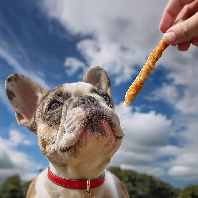 Pet 'n Shape Chik 'n Hide Twist - Chicken Wrapped Rawhide Natural Dog Treats, Large, 6 Count