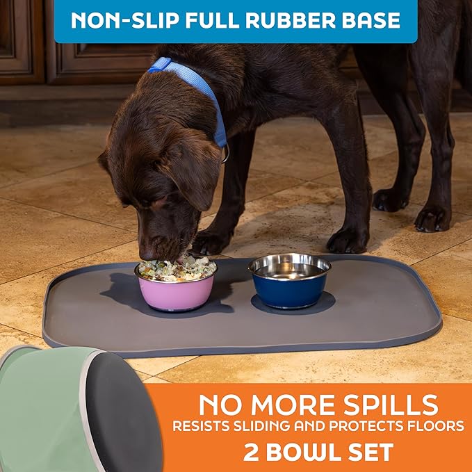 Master Pet Supply Stainless Steel Dog Bowls Set of 2 (16 Oz Each) with Non-Slip Rubber Base - Pistachio - Basic Dog Food Bowl Water & Food Bowls for Small Medium Large Dogs & Cats, Metal Dish