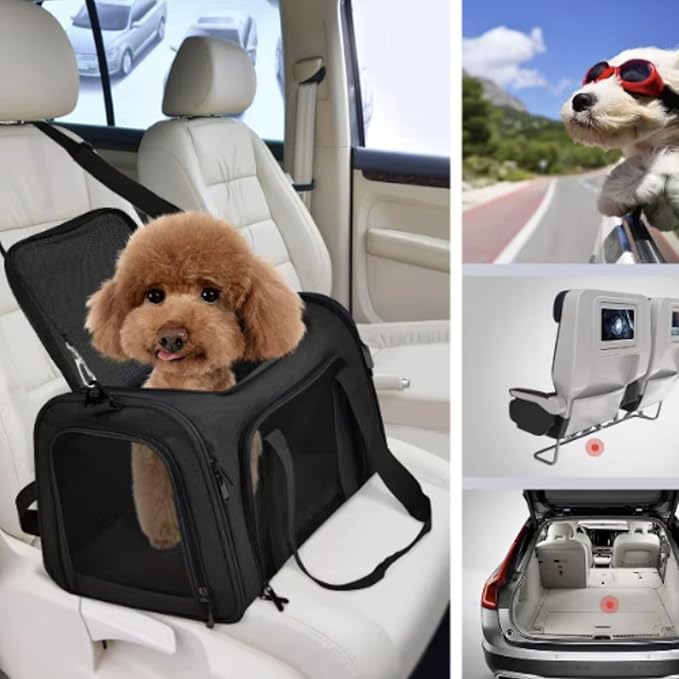 Movelo, Pet Carrier with Two Entrances – Top & Side Opening Soft-Sided Travel Carrier for Cats & Small Dogs up to 25 lbs – Airline Approved, Mesh Ventilation, Removable Pad & Shoulder Strap