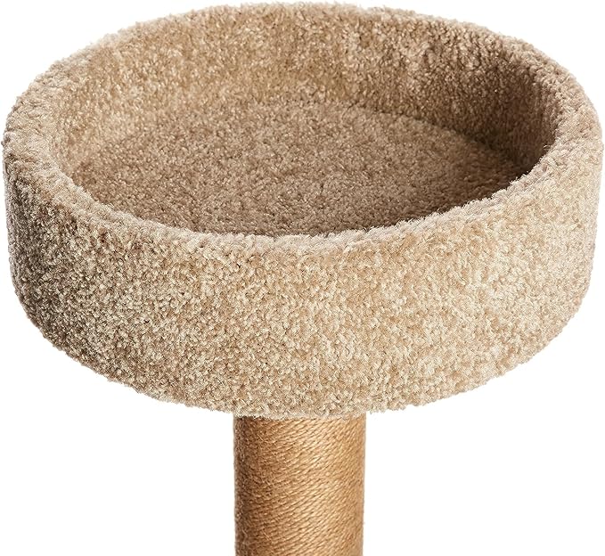 Amazon Basics Cat Tree - Indoor Cat & Kittens Multi-Level Climbing Activity Tower with Scratching Posts, Medium (31.5" H) - Beige