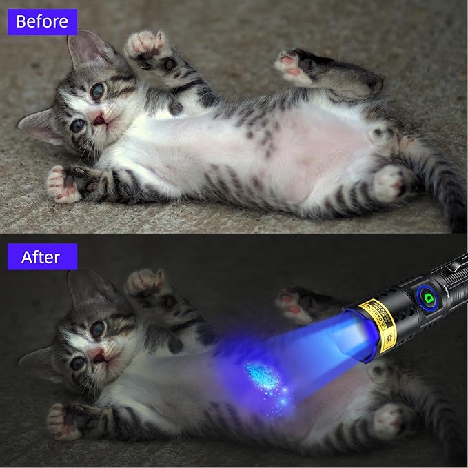 DARKDAWN UV Flashlight 365nm Blacklight ，Mini USB-C Rechargeable LED with Black Mirror, Woods Lamp Powerful Fluorescent Portable Detector for Pet Urine Stains, Anti-counterfeiting Identification