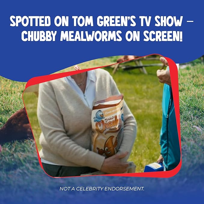 Chubby Dried Mealworms High-Protein Non-GMO Treats for Chickens, Ducks, Wild Birds & Backyard Pets