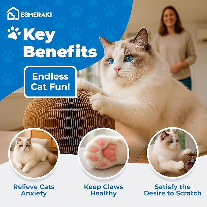 Kitty Kurlz Cat Scratcher Bundle for Kittens & Active Cats - Twisty Paws Reversible Infinity Kitty Curls Interactive Scratching Board, Stress-Relieving Cat Toy with Pet Hair Removal Glove & More