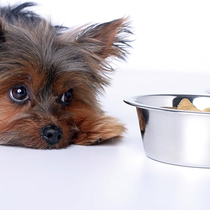 Stainless Steel Dog Bowl 2-Pack Metal Food and Water Dish (8.8" inch Outer Diameter) Pet Feeder Replacement Bowls Dishwasher Safe, Easy to Clean (7.8 Cups)