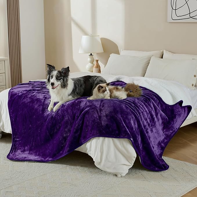 Waterproof Blanket for Bed Couch Sofa, Soft Liquid Pee Proof Pet Blanket for Dog Puppy Cat, Reversible Sherpa Fleece Furniture Protector (Dark Purple, 60x80 inches)