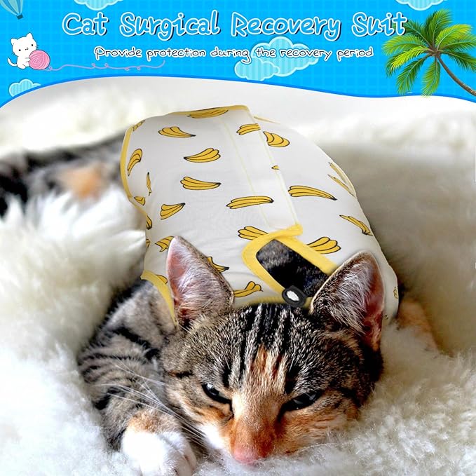 Kacctyen 6 Set Cat Recovery Suit After Surgery Female and Male Cat Kitten Surgery Suit E Collar Alternative Pajama Kitty Clothes for Spay Abdominal Skin Anti Licking(Fruit,Small)