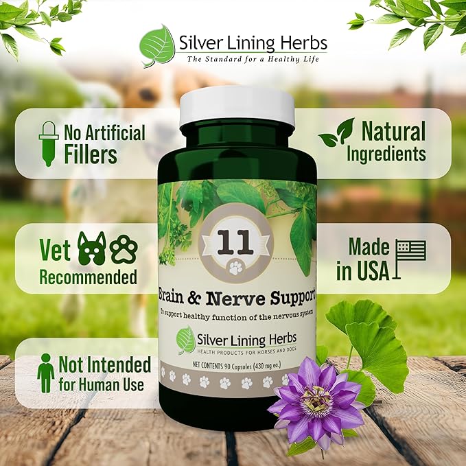 Silver Lining Herbs Brain Health & Dog Nerve Supplements - 11 Canine Herbal Supplement Helps Maintain Central Nervous System, Spinal Cord & Balanced Behavior - 90 Capsules