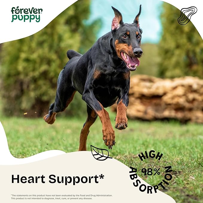 Forever Puppy Motherwort Tincture for Dogs - Herbal Dog Heart Supplement - Motherwort Herb Liquid Extract - Canine Vitamins for Overall Well-Being - Sugar & Alcohol-Free Drops - 4 fl oz
