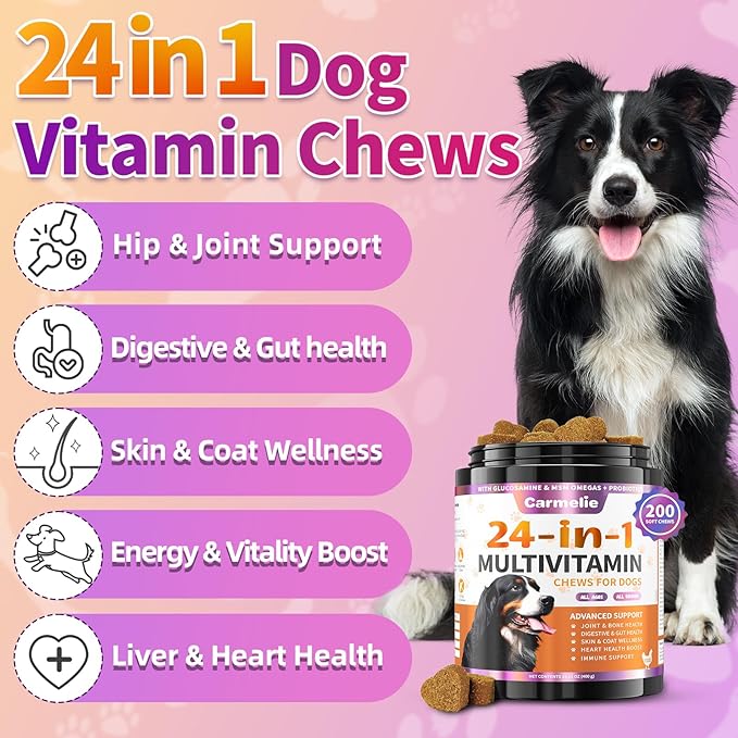 Carmelie Dog Vitamins, 24 in 1 Dog Vitamins and Supplements 200 Chews with Glucosamine Probiotics Omega-3 Dog Multivitamins Chewable for Hip & Joint, Skin & Coat, Immune Health, Digestive (Chicken)