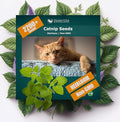 Catnip Seeds - Nepeta cataria for Planting, 2200+ Herb Seeds, Indoor or Outdoor Growing, Heirloom, Non-GMO, Cats Love Catnip Leaves. (Catnip Seeds, 1500mg)