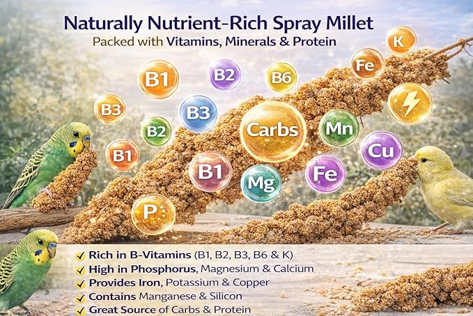 Farm to Feathers™ Wholesome Spray Bird Millet & Cuttlebone Bundle – USA Grown Millet Sprays for Parakeets, Budgies, Cockatiels, Finches & Canaries – 2 lb Wholesome Millet + 4” Cuttlebone (4 Pack)